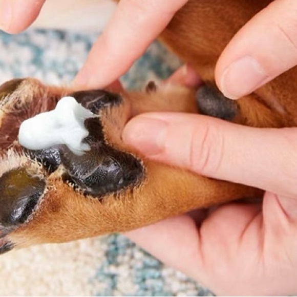 Protect 🐶 & heal/soothe your dog’s 🐾 paws Miracle Healing ❤️‍🩹 balm/paw balm - Picture 1 of 11